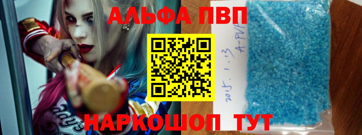 A-PVP СК КРИС Архангельск