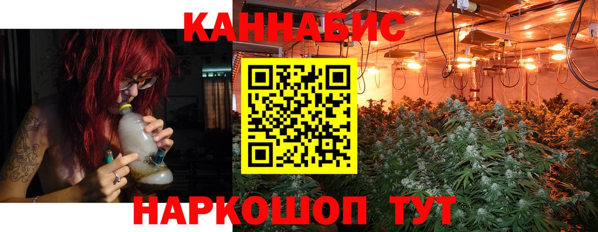 Бошки марихуана тримм Архангельск